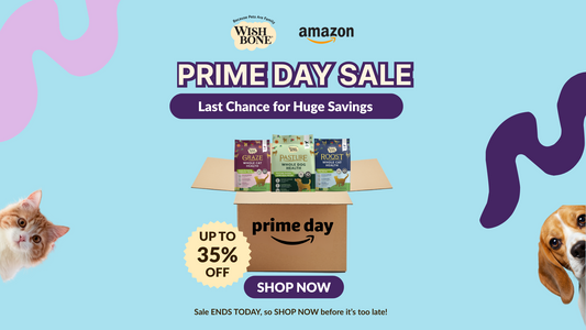 Why Wishbone Pet Food is the Best Option for Pet Parents on Prime Day: 8 Superfoods in Every Meal