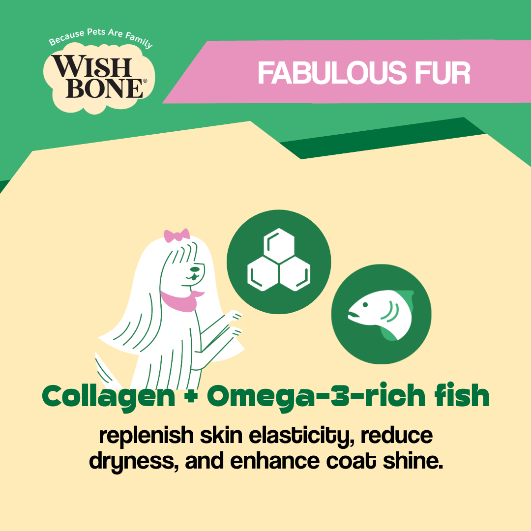 Wishbone Air-Dried Ocean Fish & Lamb 454g