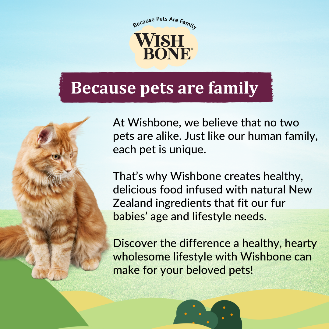 Wishbone Graze for Cats - New Zealand Beef and Lamb, 4lb