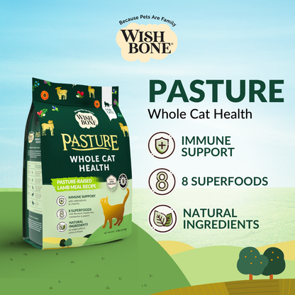 [Cat Trial Pack] Wishbone Pasture New Zealand Lamb Dry Cat Food, 60g