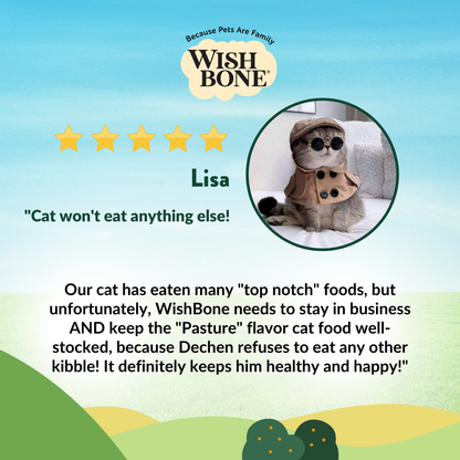 [Cat Trial Pack] Wishbone Pasture New Zealand Lamb Dry Cat Food, 60g