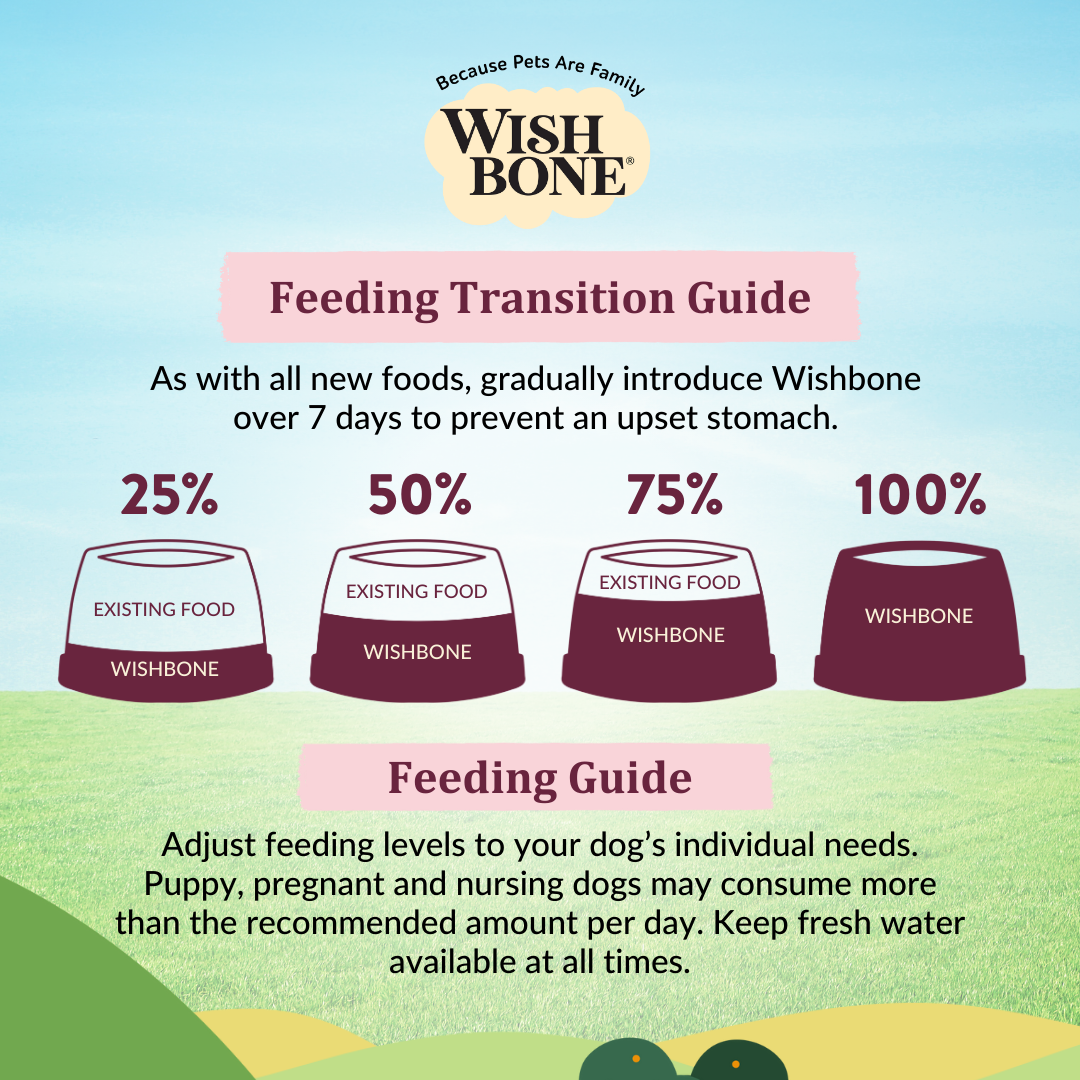 [Dog Trial Pack] Wishbone Graze New Zealand Beef and Lamb Dry Dog Food, 60g