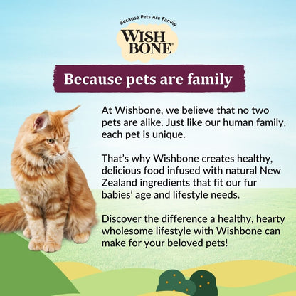 [Cat Trial Pack] Wishbone Graze New Zealand Beef and Lamb Dry Cat Food, 60g