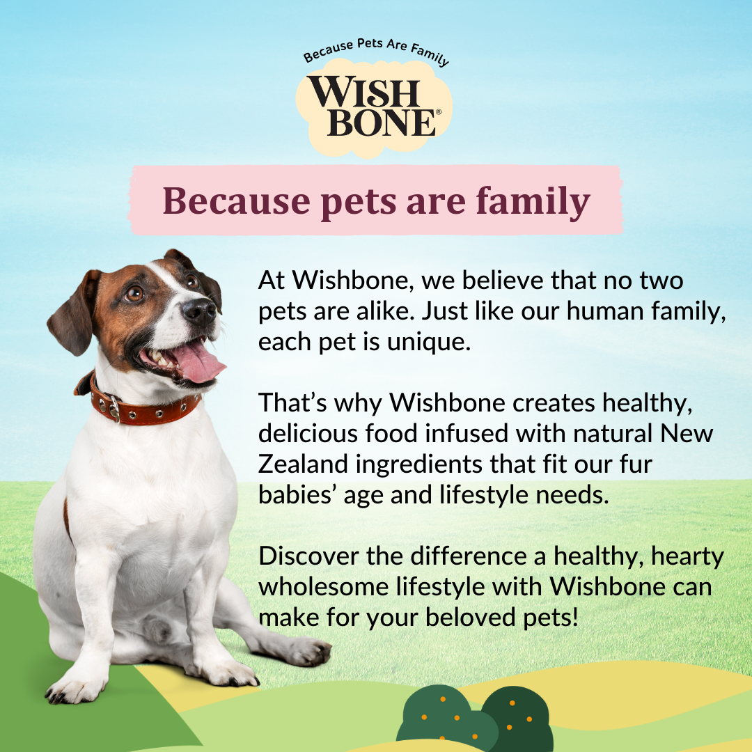 [Dog Trial Pack] Wishbone Graze New Zealand Beef and Lamb Dry Dog Food, 60g