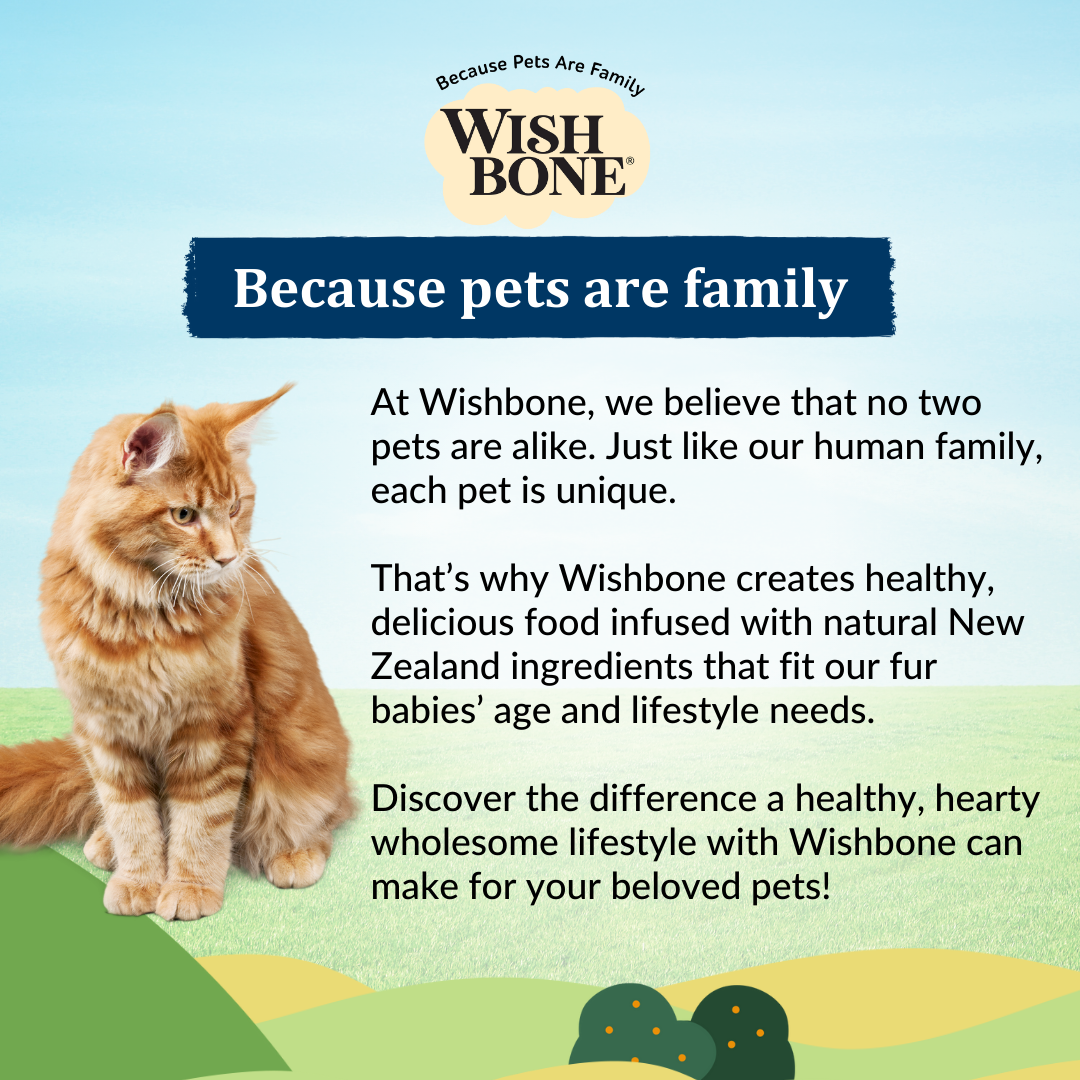 [Cat Trial Pack] Wishbone Roost New Zealand Chicken Dry Cat Food, 60g