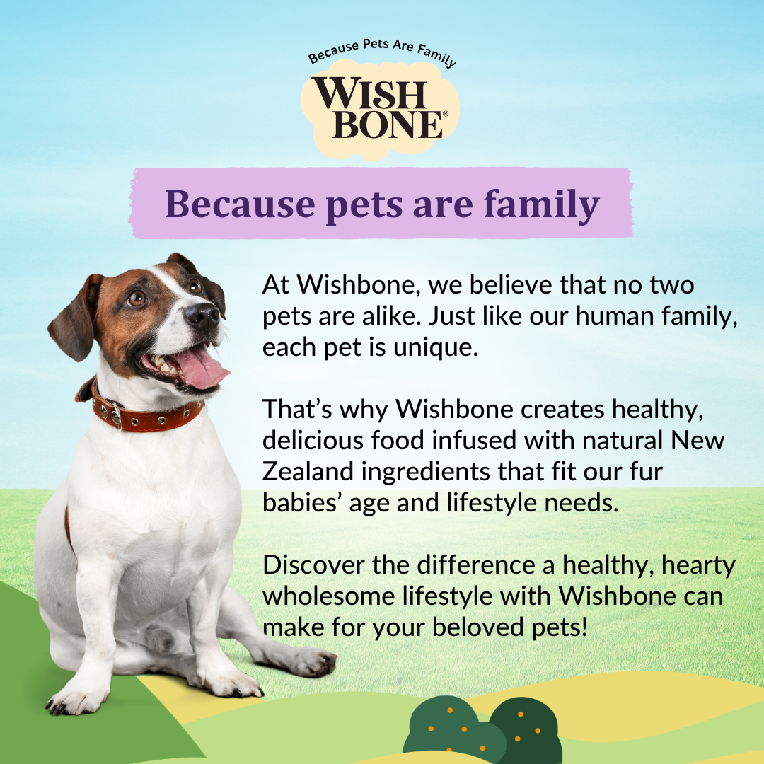 [Dog Trial Pack] Wishbone Ocean New Zealand King Salmon Dry Dog Food, 60g