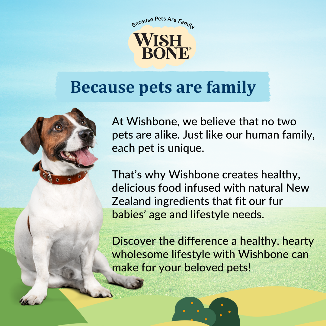 [Dog Trial Pack] Wishbone Roost New Zealand Chicken Dry Dog Food, 60g