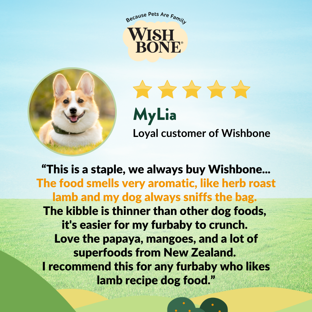 [Dog Trial Pack] Wishbone Pasture New Zealand Lamb Dry Dog Food, 60g