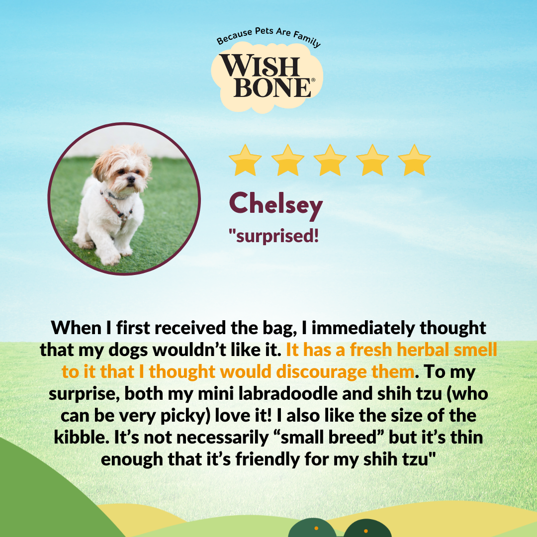 Buy Wishbone Graze New Zealand Beef & Lamb Dry Dog Food - 4 lb bag, gluten-free and grain-free formula with premium beef, lamb, and antioxidants.
