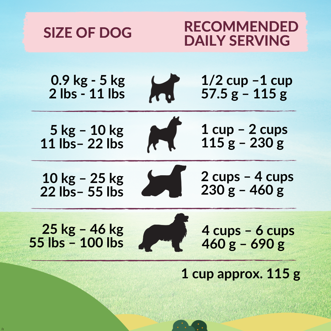 Buy Wishbone Graze New Zealand Beef & Lamb Dry Dog Food - 4 lb bag, gluten-free and grain-free formula with premium beef, lamb, and antioxidants.