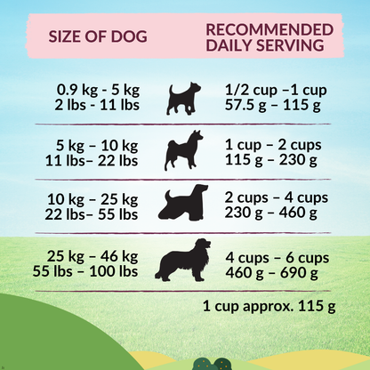 Buy Wishbone Graze New Zealand Beef & Lamb Dry Dog Food - 4 lb bag, gluten-free and grain-free formula with premium beef, lamb, and antioxidants.