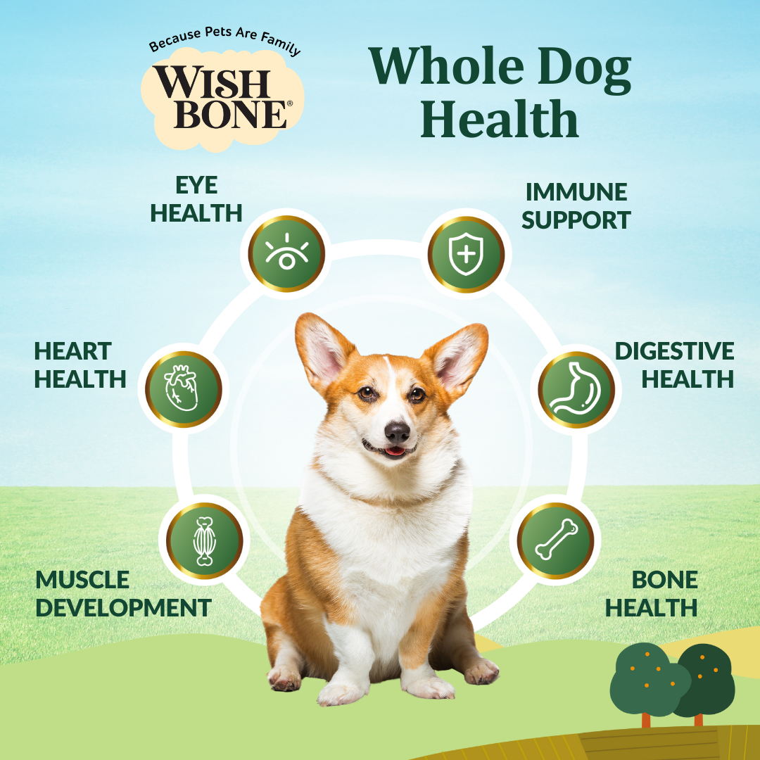 Buy Wishbone Graze New Zealand Beef & Lamb Dry Dog Food - 4 lb bag, gluten-free and grain-free formula with premium beef, lamb, and antioxidants.