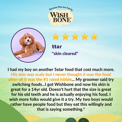Wishbone Ocean New Zealand King Salmon Dry Dog Food, 4 lb bag, gluten-free and grain-free recipe for healthy skin, coat, and digestion.