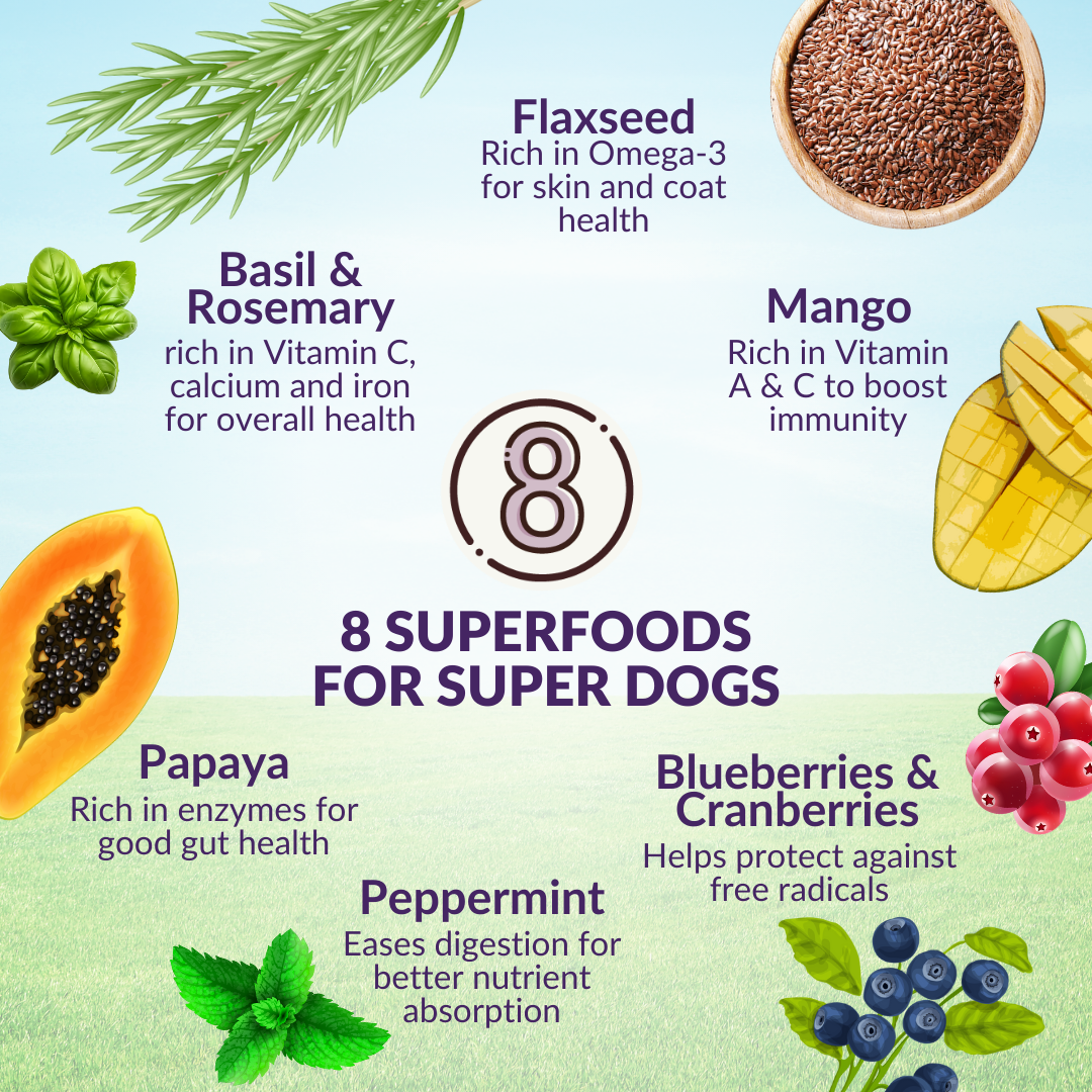 Wishbone Ocean New Zealand King Salmon Dry Dog Food, 4 lb bag, gluten-free and grain-free recipe for healthy skin, coat, and digestion.