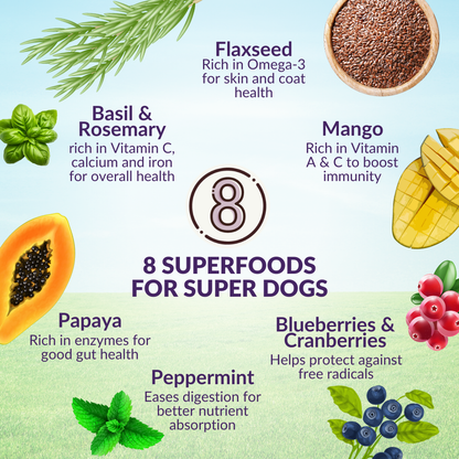 Wishbone Ocean New Zealand King Salmon Dry Dog Food, 4 lb bag, gluten-free and grain-free recipe for healthy skin, coat, and digestion.
