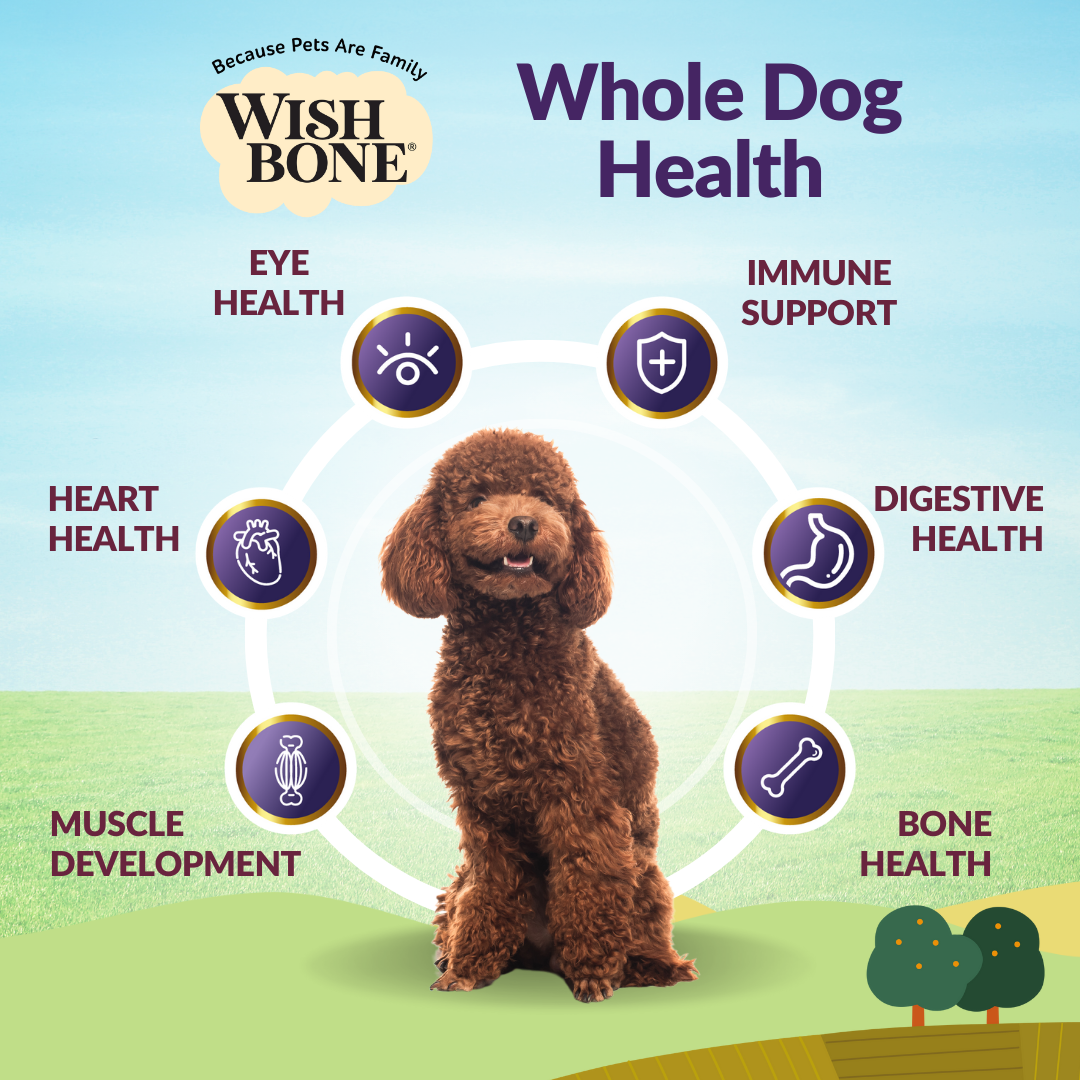 Wishbone Ocean New Zealand King Salmon Dry Dog Food, 4 lb bag, gluten-free and grain-free recipe for healthy skin, coat, and digestion.