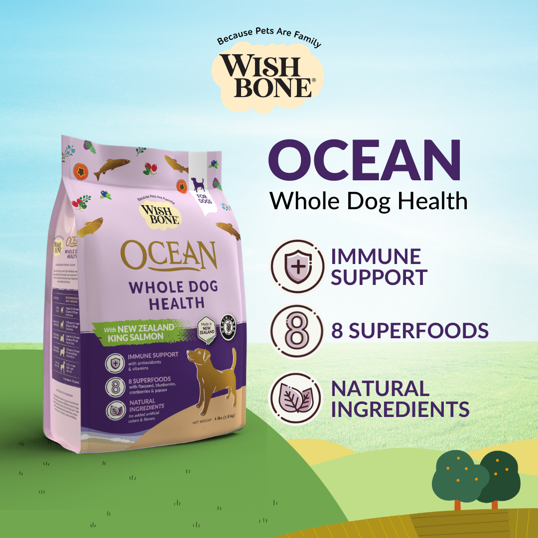 Wishbone Ocean New Zealand King Salmon Dry Dog Food, 4 lb bag, gluten-free and grain-free recipe for healthy skin, coat, and digestion.
