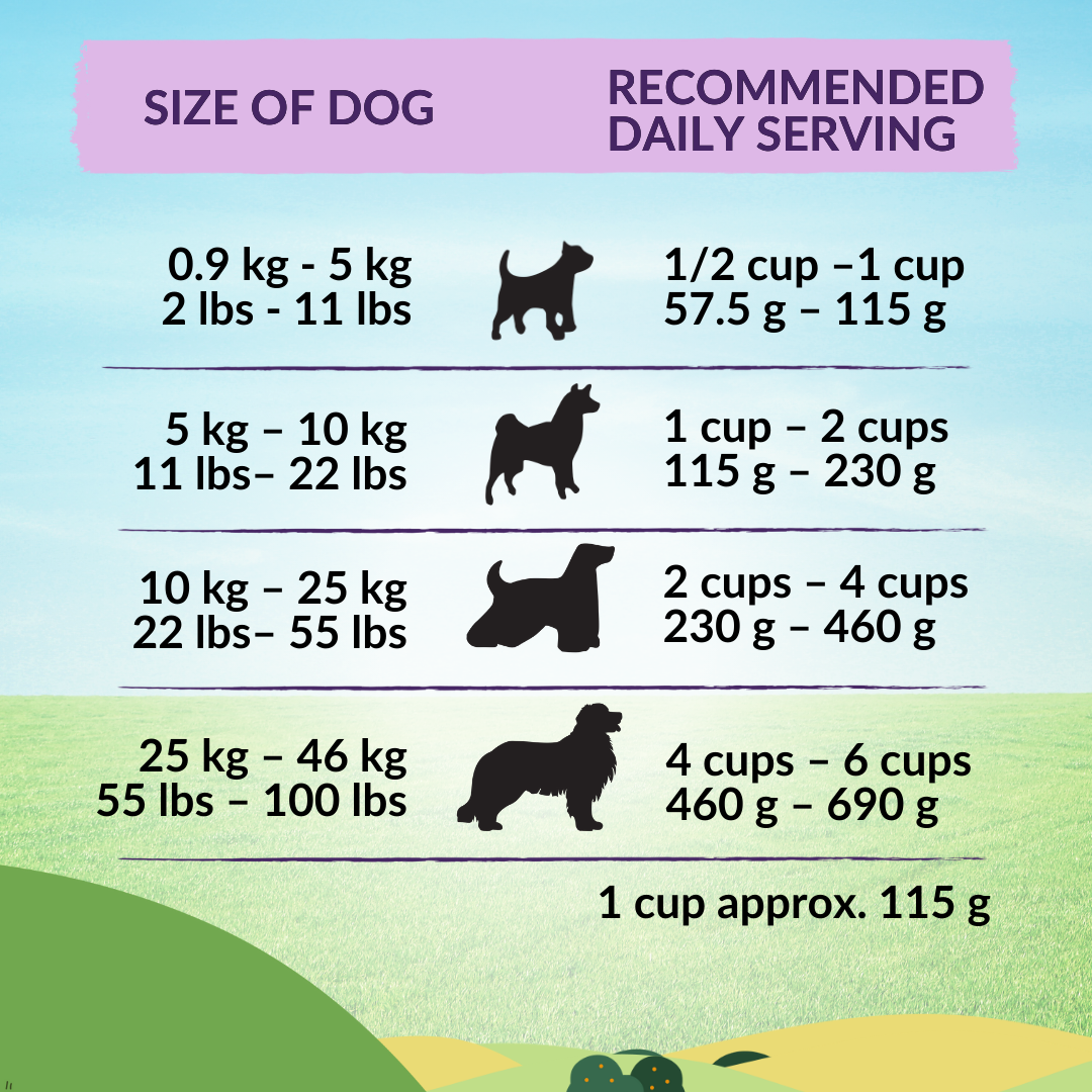 Wishbone Ocean New Zealand King Salmon Dry Dog Food, 4 lb bag, gluten-free and grain-free recipe for healthy skin, coat, and digestion.