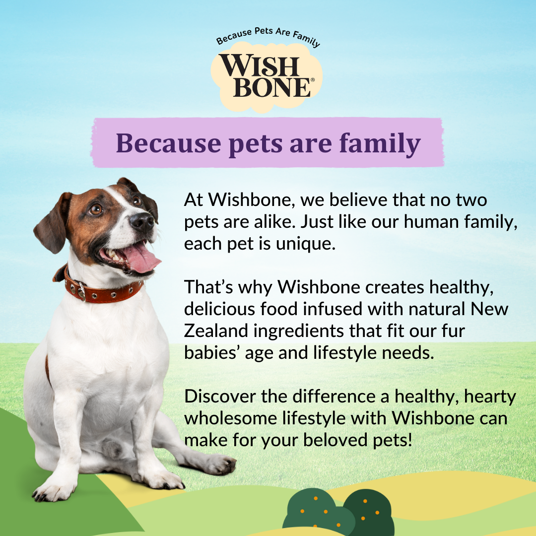 Wishbone Ocean New Zealand King Salmon Dry Dog Food, 4 lb bag, gluten-free and grain-free recipe for healthy skin, coat, and digestion.