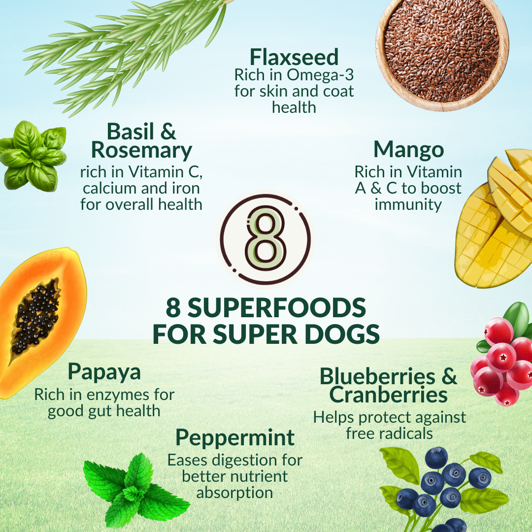 Wishbone Pasture New Zealand Lamb Dry Dog Food, 4 lb bag, gluten-free and grain-free formula for muscle health, digestion, and a shiny coat.