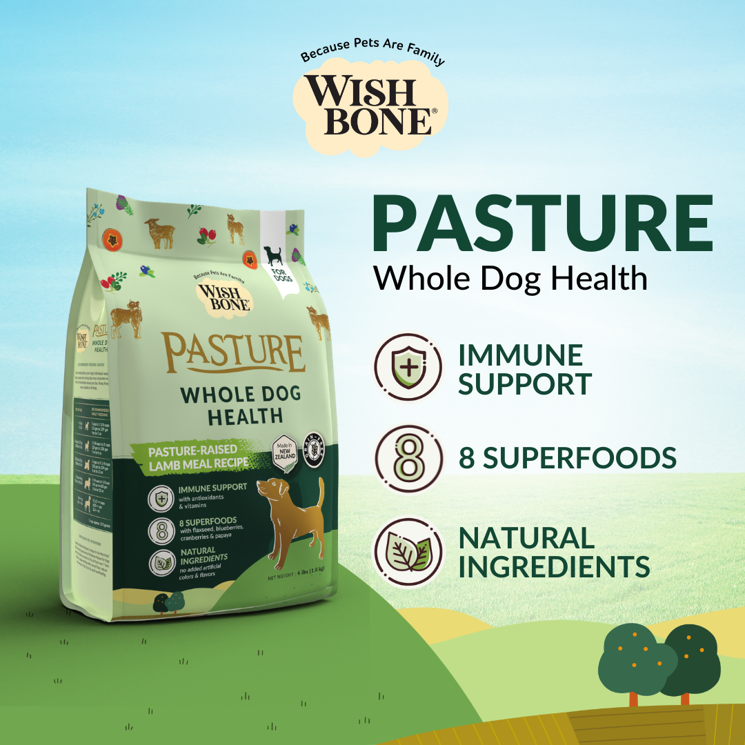 Wishbone Pasture New Zealand Lamb Dry Dog Food, 4 lb bag, gluten-free and grain-free formula for muscle health, digestion, and a shiny coat.