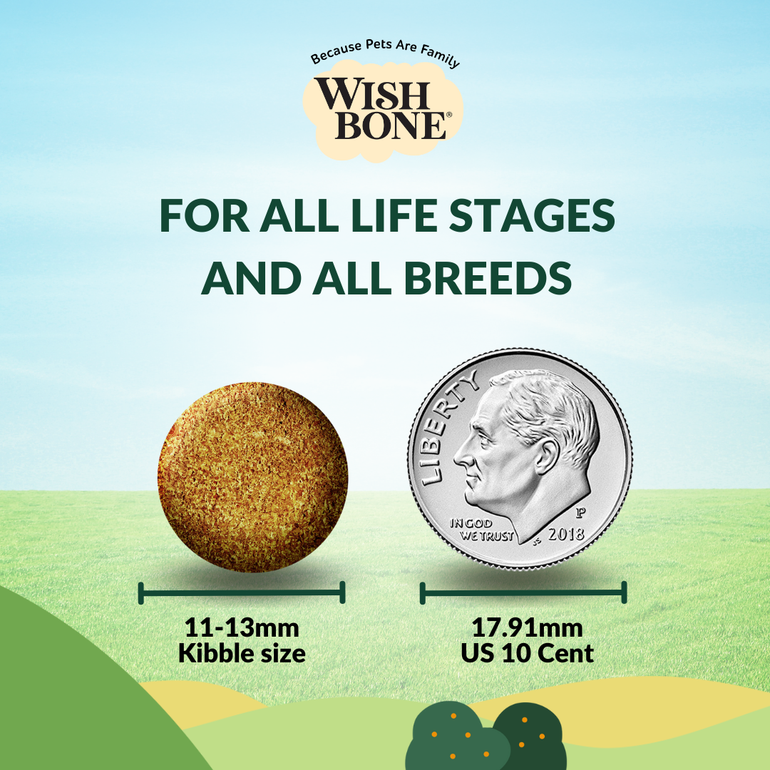 Wishbone Pasture New Zealand Lamb Dry Dog Food, 4 lb bag, gluten-free and grain-free formula for muscle health, digestion, and a shiny coat.