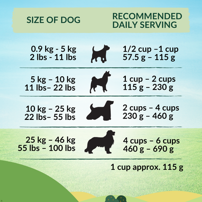 Wishbone Pasture New Zealand Lamb Dry Dog Food, 4 lb bag, gluten-free and grain-free formula for muscle health, digestion, and a shiny coat.