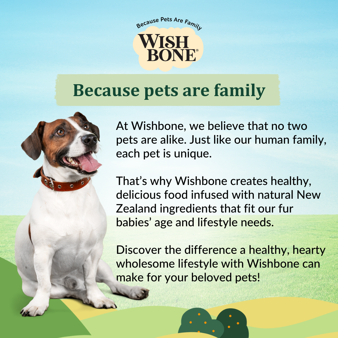 Wishbone Pasture New Zealand Lamb Dry Dog Food, 4 lb bag, gluten-free and grain-free formula for muscle health, digestion, and a shiny coat.