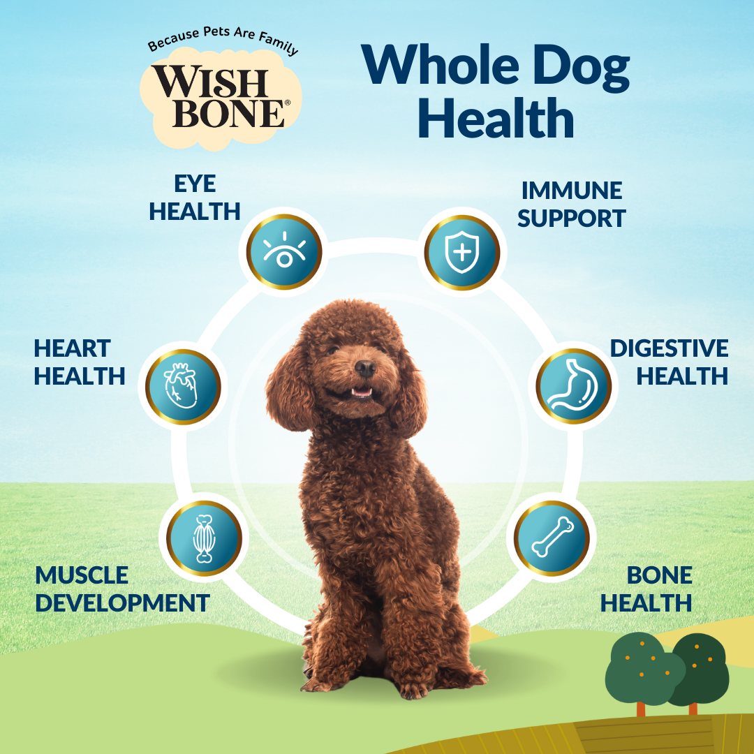 [Dog Trial Pack] Wishbone Pasture New Zealand Lamb Dry Dog Food, 60g