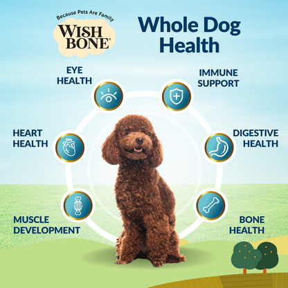 [Dog Trial Pack] Wishbone Pasture New Zealand Lamb Dry Dog Food, 60g